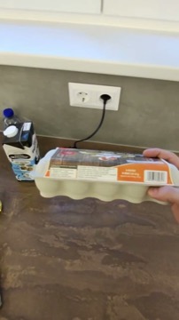 Glasses view: the egg carton